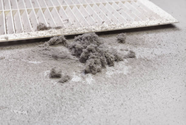 Best HVAC Duct Inspection Services  in Roosevelt Gardens, FL