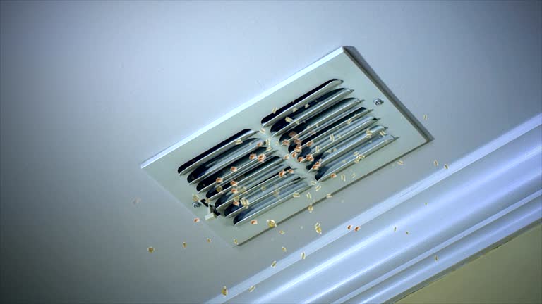 Best Affordable Air Duct Cleaning  in Roosevelt Gardens, FL