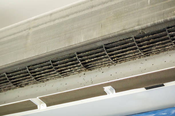 Best Ventilation Cleaning Services  in Roosevelt Gardens, FL