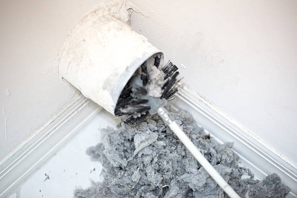 Best Home Air Vent Cleaning  in Roosevelt Gardens, FL